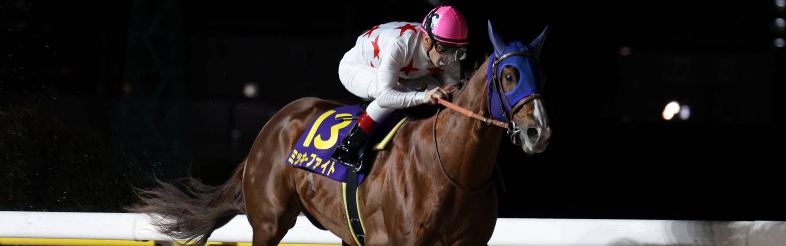 ミッキーファイトはドバイWCが目標<br>サウジCには向かわず