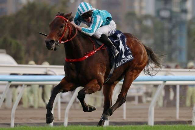 ロマンチックウォリアー（Romantic Warrior） | 競馬データベース