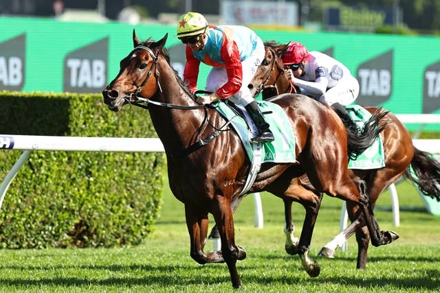 カランダガン（Calandagan） | 競馬データベース | JRA-VAN World