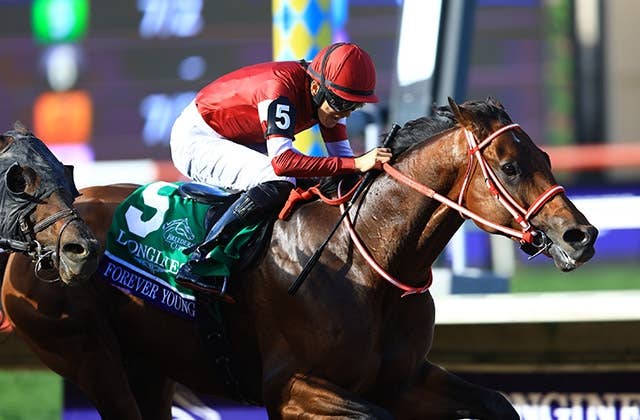 フォーエバーヤングは年度代表馬のファイナリストに選出される可能性を
