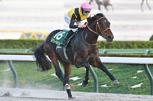 サウジカップ（G1） 2026/2/14(土) | 日程・結果 | JRA-VAN World