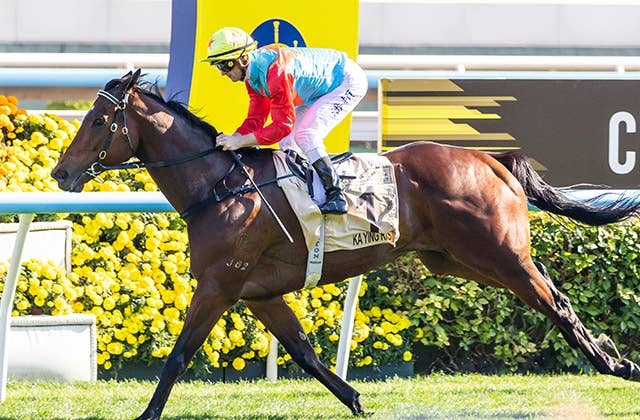 カーインライジングが香港記録に並ぶ17連勝、G1センテナリースプリント