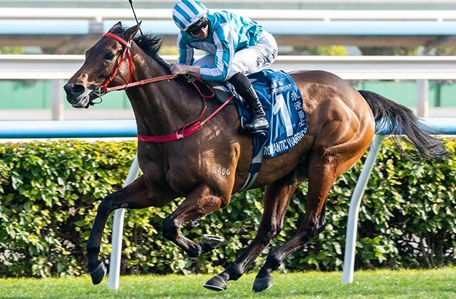 ロマンチックウォリアー（Romantic Warrior） | 競馬データベース