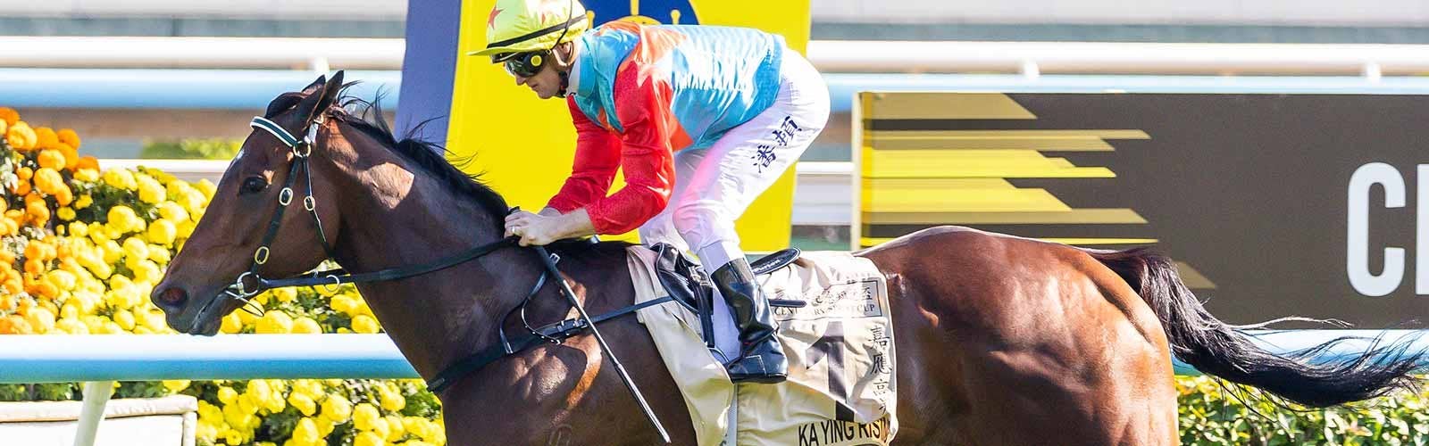 カーインライジング<br>香港歴代最長17連勝に並ぶ