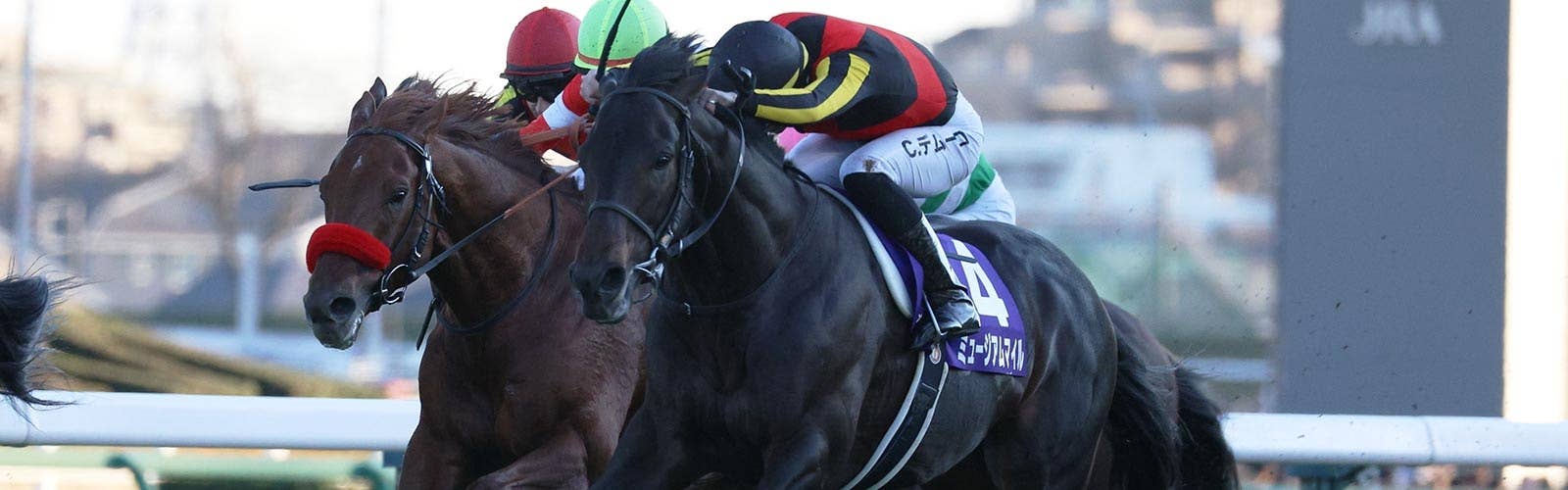 有馬記念覇者ミュージアムマイル<br>ドバイターフで始動