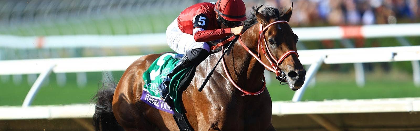 各競走の登録馬を発表<br>ドバイワールドカップデー