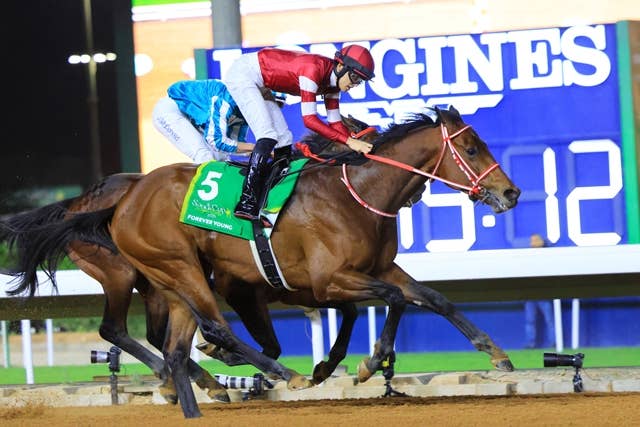 サウジC出走予定馬が発表、日本からはフォーエバーヤングら3頭 | JRA