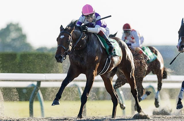 サウジカップ（G1） 2026/2/14(土) | 日程・結果 | JRA-VAN World