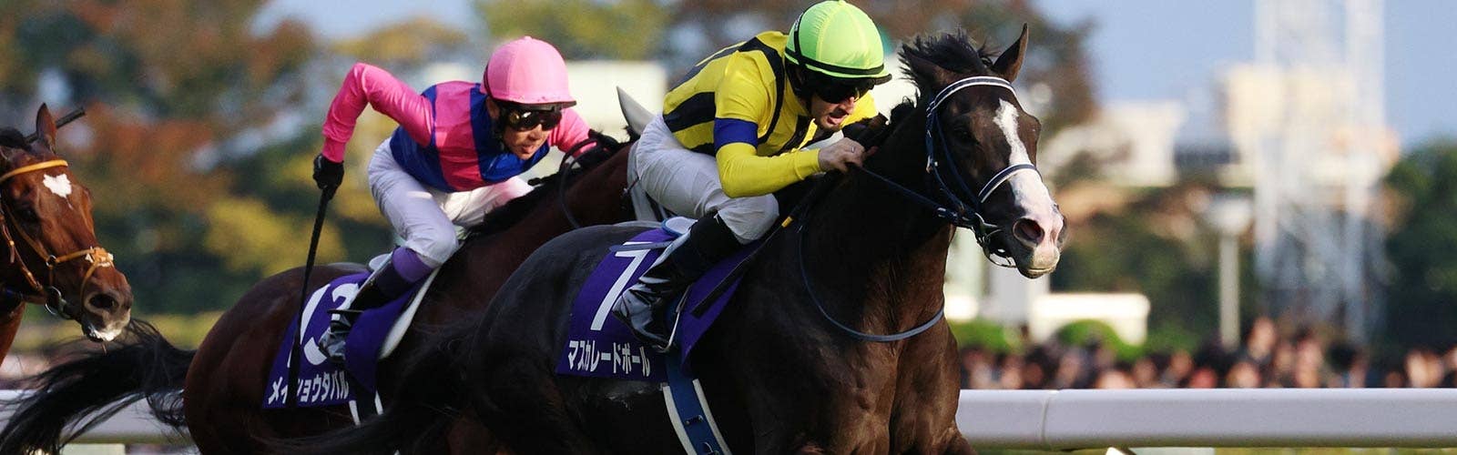 天皇賞・秋を制したマスカレードボール<br>ドバイシーマCの招待を受諾