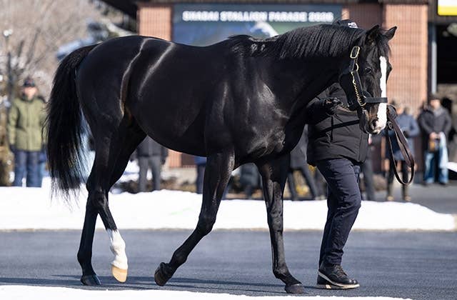 イクイノックス（Equinox） | 競馬データベース | JRA-VAN World