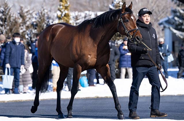 社台グループだけでG1馬10頭の受胎成功」ドウデュースの良血産駒が続々