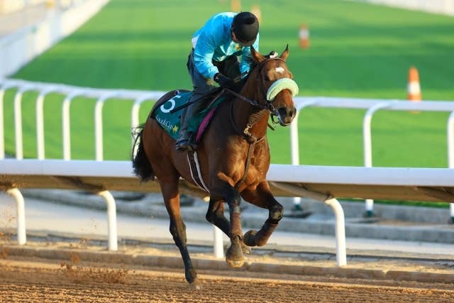 サウジカップ（G1） 2026/2/14(土) | 日程・結果 | JRA-VAN World