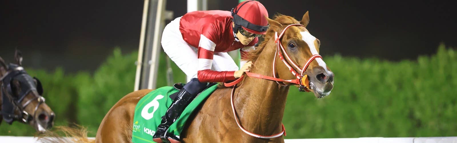 G1昇格のネオムターフC<br>シンエンペラーは4番枠