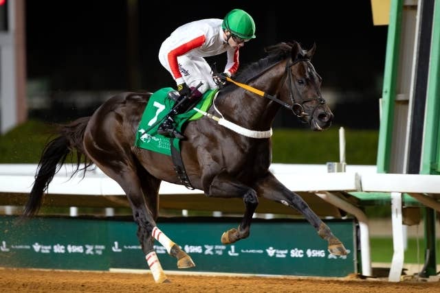 サウジカップ（G1） 2026/2/14(土) | 日程・結果 | JRA-VAN World