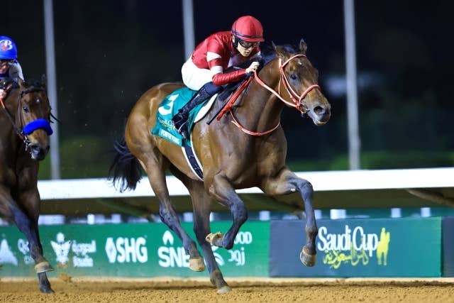 サウジカップ（G1） 2026/2/14(土) | 日程・結果 | JRA-VAN World