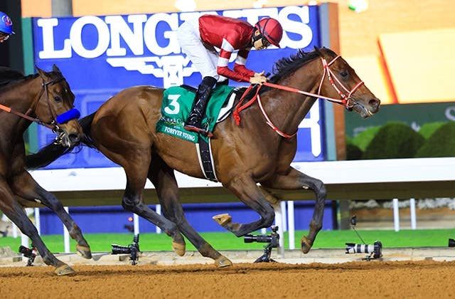 サウジカップ回顧】「負けないと思っていた」フォーエバーヤング史上初