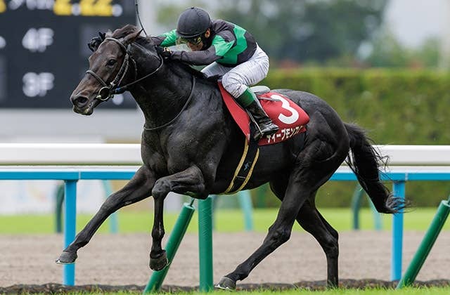 カタールG2アミールトロフィー、ディープモンスターが初の海外遠征で大