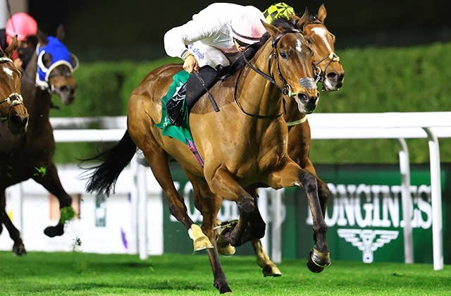 2026サウジカップ | JRA-VAN World - 海外競馬情報サイト