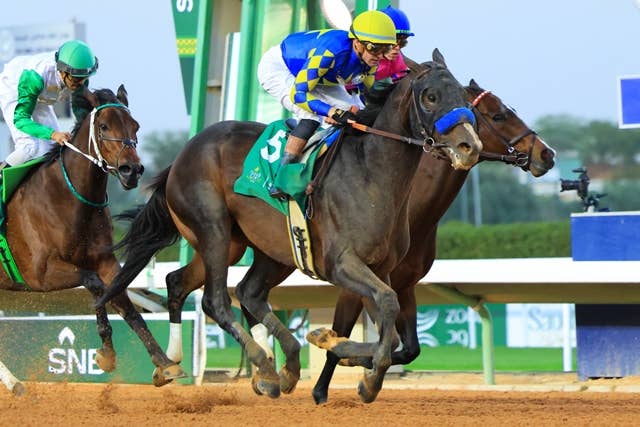 2026サウジカップ | JRA-VAN World - 海外競馬情報サイト