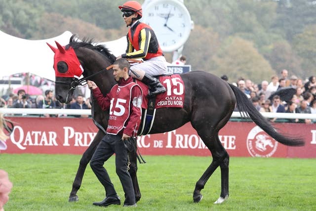 クロワデュノール（Croix du Nord） | 競馬データベース | JRA-VAN