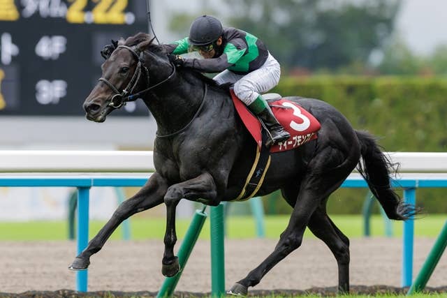 アミールT快勝のディープモンスターなどカタール遠征組3頭が帰国 | JRA