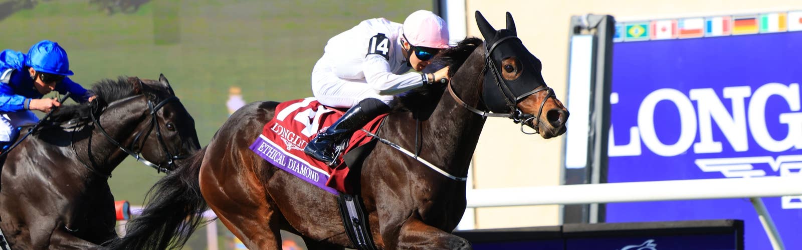 BCターフ覇者「愛の二刀流」がドバイシーマC参戦！<br>カランダガン、日本馬と激突へ／有力馬情報