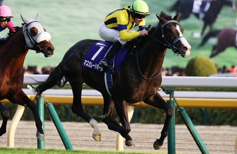 2026香港チャンピオンズデー | JRA-VAN World - 海外競馬情報サイト