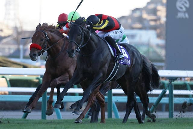 ジャンタルマンタル（Jantar Mantar） | 競馬データベース | JRA-VAN