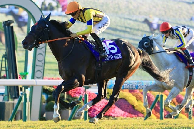 ジャンタルマンタル（Jantar Mantar） | 競馬データベース | JRA-VAN
