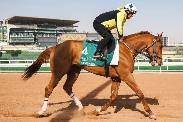 ゴドルフィン ダーレー ベスト Mサイズ 競馬 サウジC8着後にドバイ滞在中の米国馬バニシングはゴドルフィンMが目標