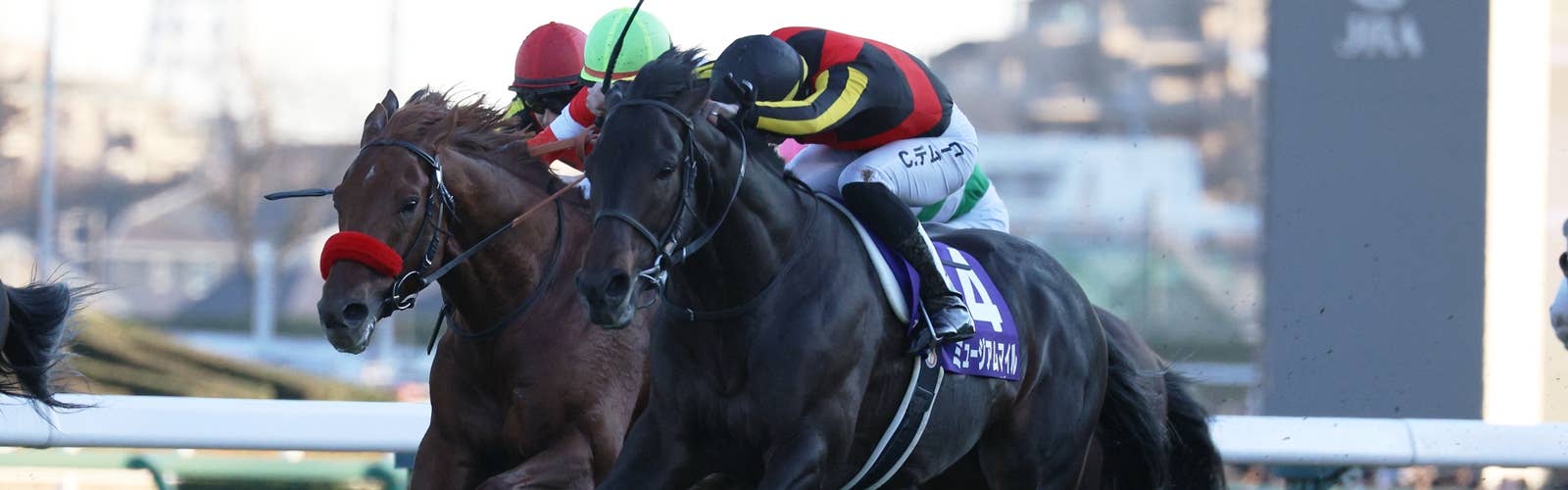 ミュージアムマイルはドバイターフ出走へ現時点で18日出国予定<br>回避なら大阪杯か香港QE2へ