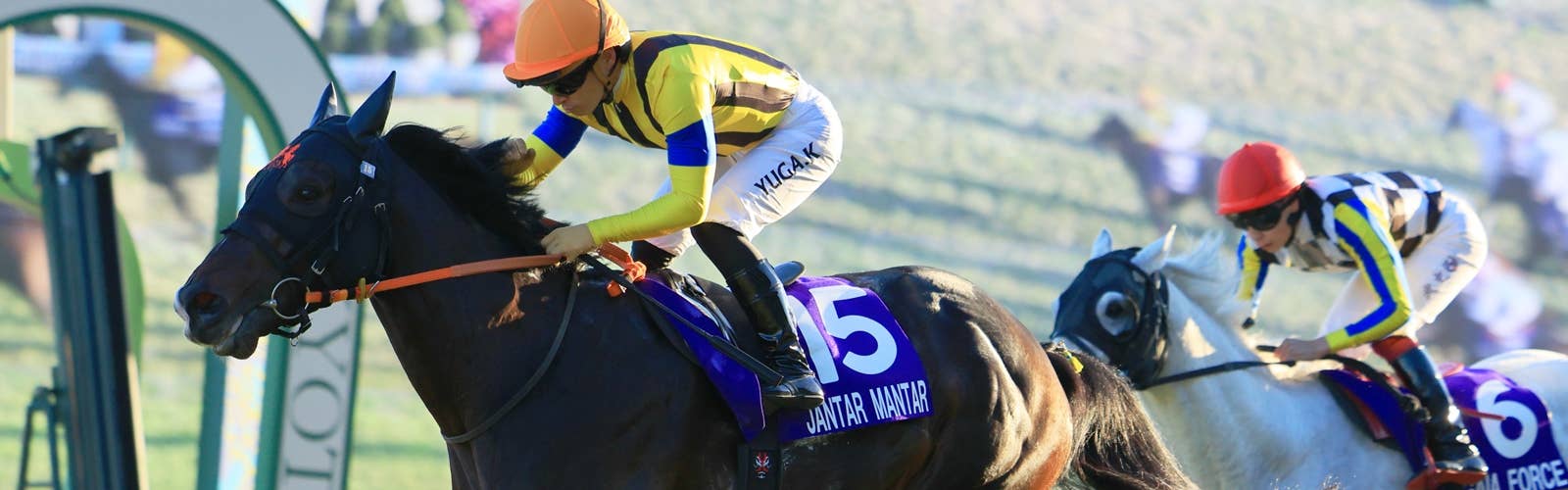 ドバイターフを予定していたジャンタルマンタル<br>香港のチャンピオンズMに予備登録／有力馬情報