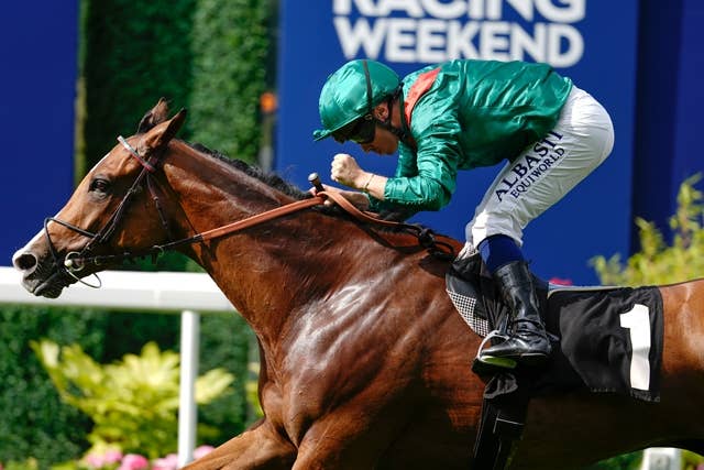 世界最強馬カランダガン陣営「21日まで状況を見守って見極める