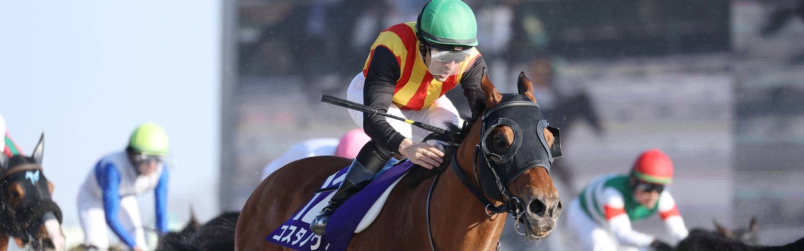 ドバイ遠征を辞退<br>フェブラリーS連覇コスタノヴァ