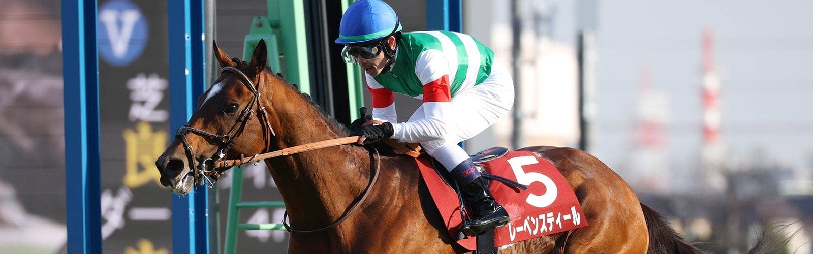 香港のQE2世Cに登録<br>中山記念を制したレーベンスティール