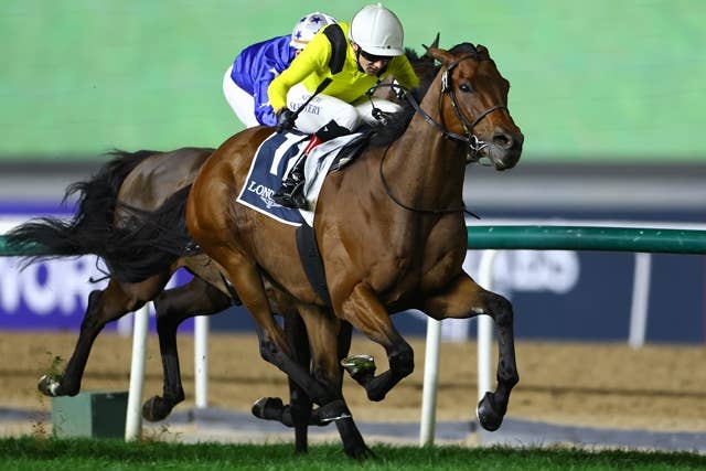 ドバイG3ラスアルホール、エルナジムが好位から抜け出し重賞連勝 | JRA