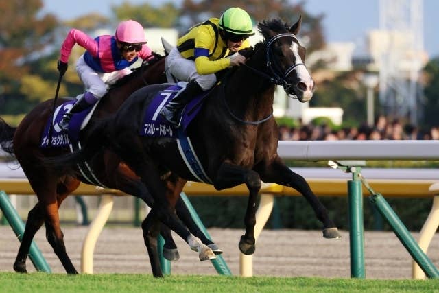 結果 | 2026クイーンエリザベス2世カップ | JRA-VAN World - 海外競馬
