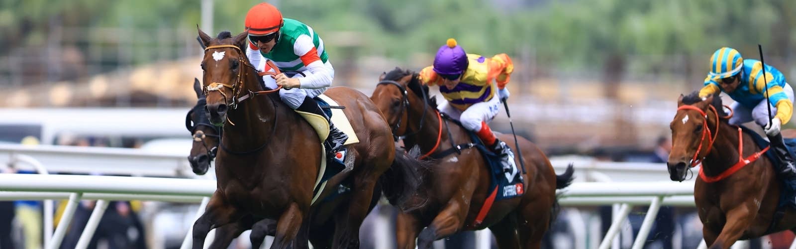 【香港チャンピオンズデー】<br>最新情報はこちら