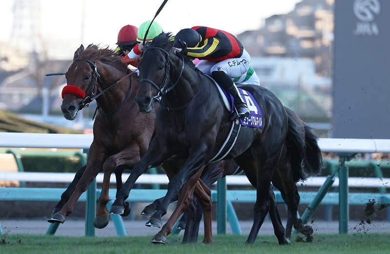 ミュージアムマイル（Museum Mile） | 競馬データベース | JRA-VAN