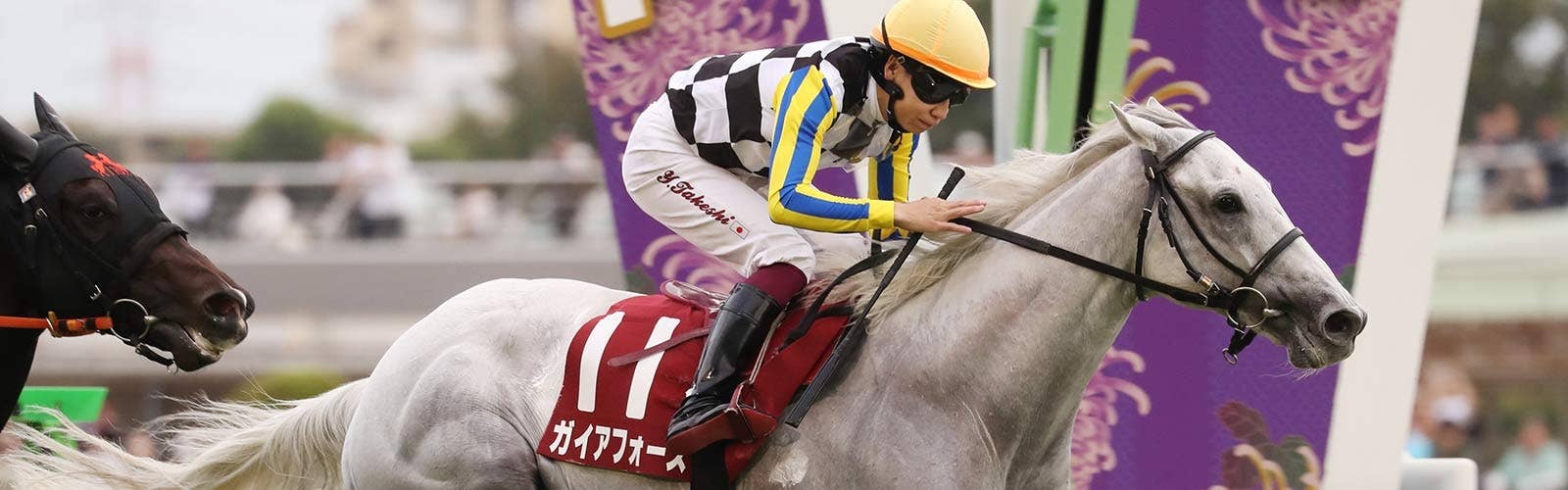 関西馬5頭が国内最終追い切り<br>18日に現地へ出発予定