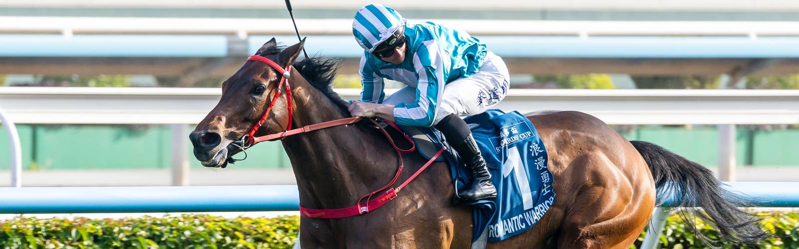 クイーンエリザベス2世C<br>日本から26頭が予備登録