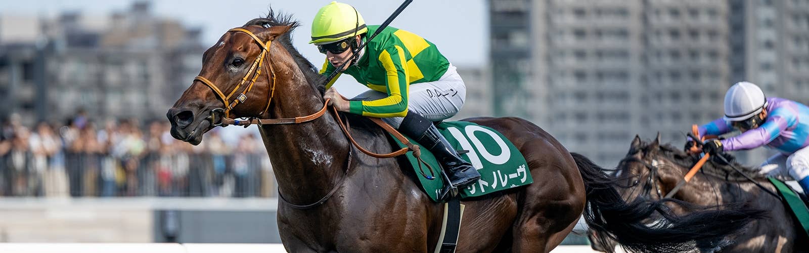 チェアマンズスプリントプライズ<br>昨年2着のサトノレーヴら日本馬8頭が予備登録