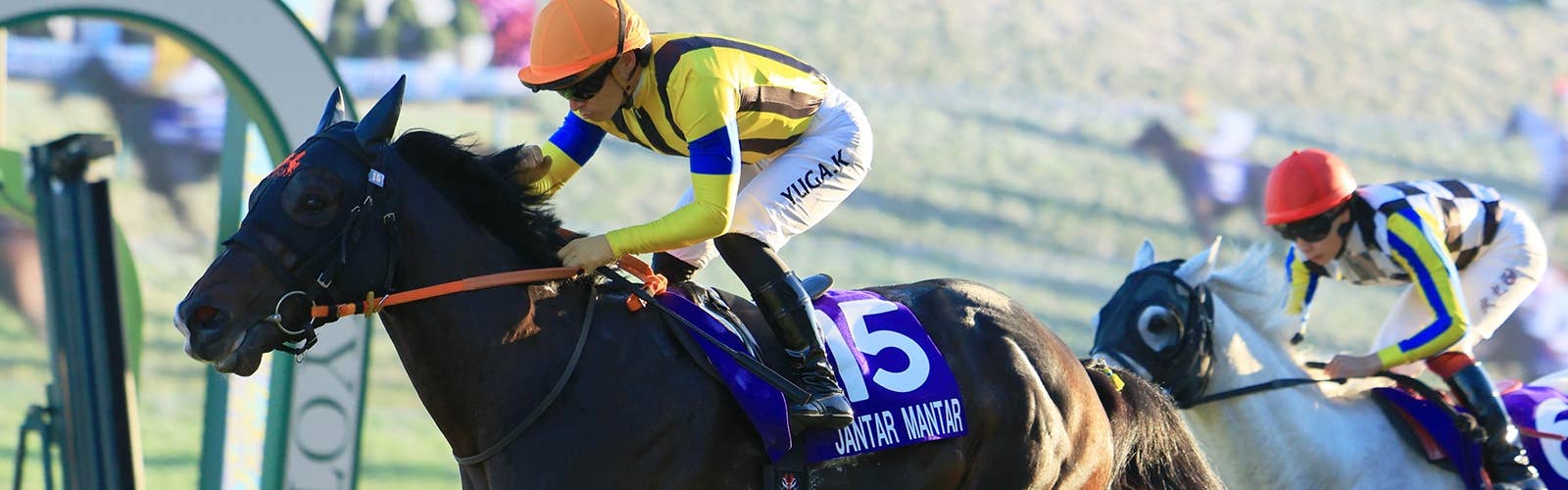 チャンピオンズマイル<br>日本からマイル王ジャンタルマンタルら11頭が予備登録