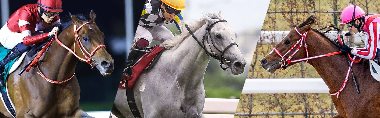 【ドバイWCデー】<br>最新情報はこちら