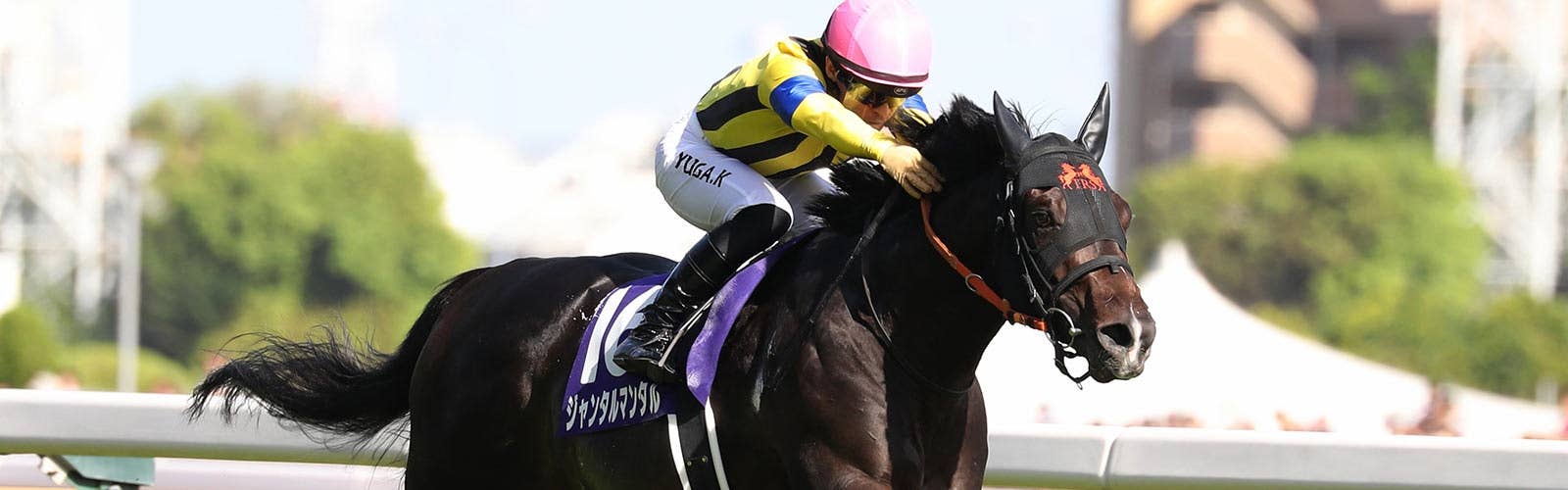 チャンピオンズMの招待を受諾<br>ジャンタルマンタル