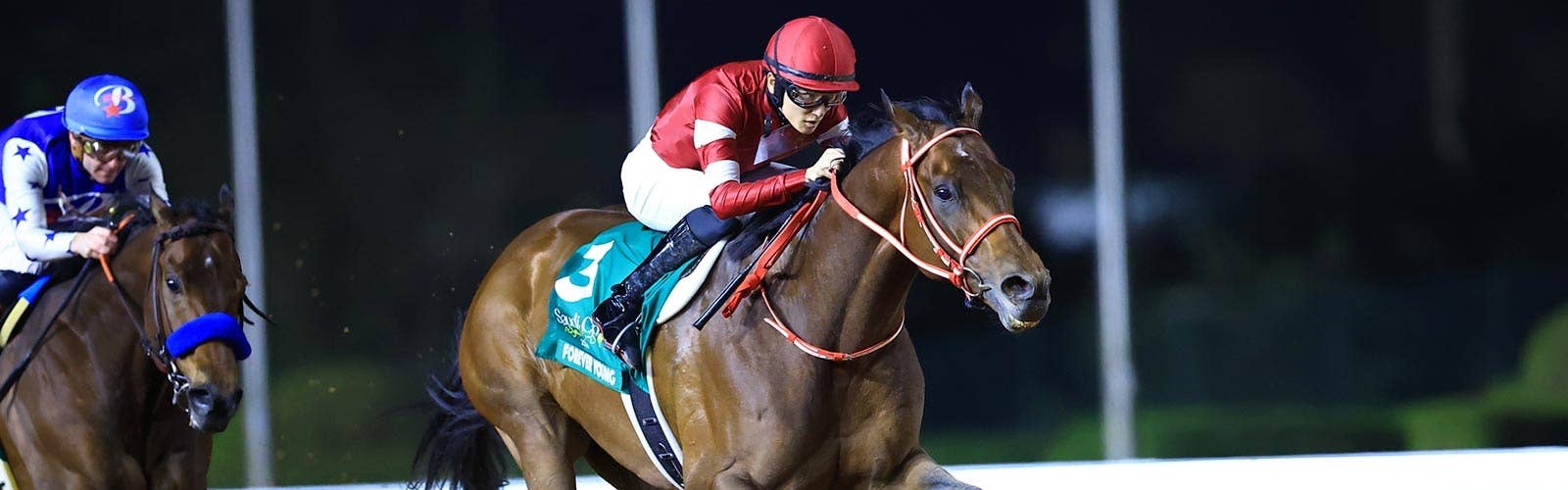 ドバイWCの出走馬確定<br>フォーエバーヤングなど9頭立てに