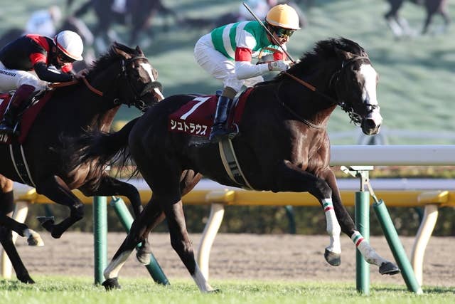 アブダビゴールドC制覇のシュトラウスは香港チャンピオンズMの招待を