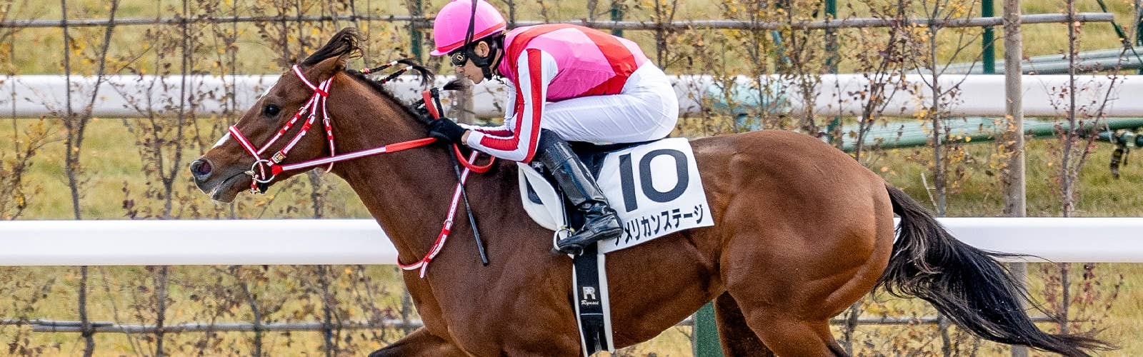 【ドバイGシャヒーン枠順】<br>アメリカンステージは10番枠