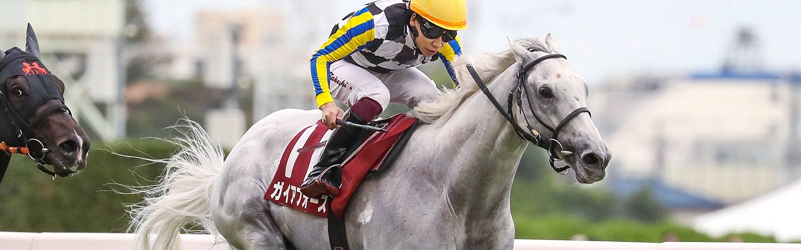 【ドバイターフ枠順】<br>ガイアフォースは11番枠