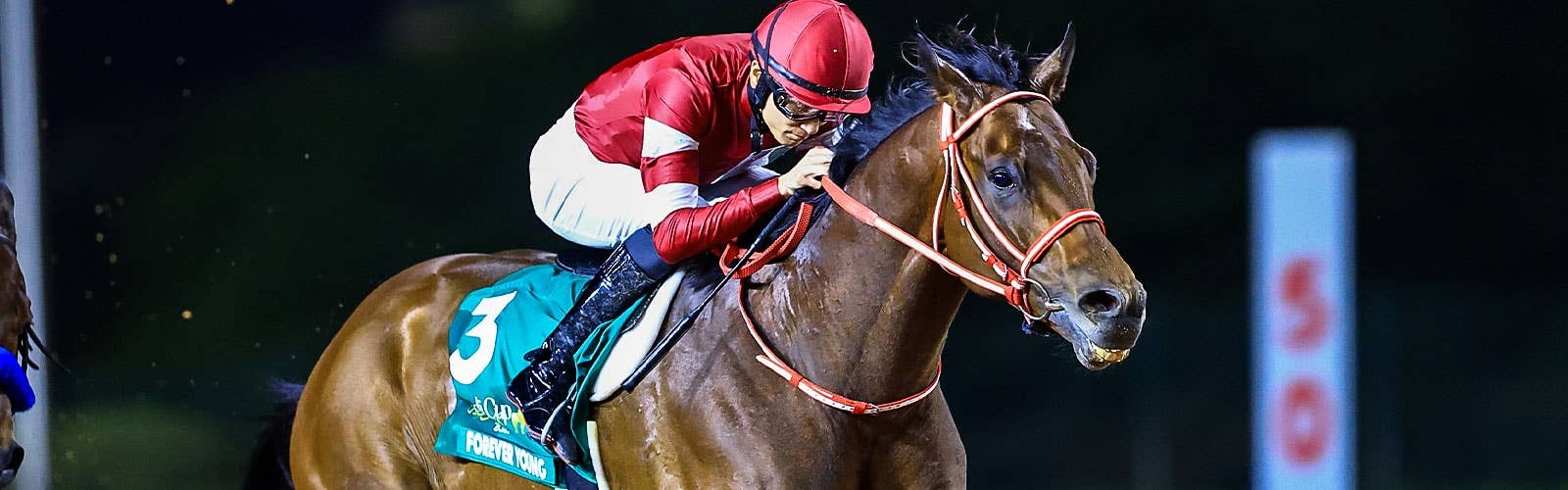 【ドバイワールドC枠順】<br>フォーエバーヤングは6番枠